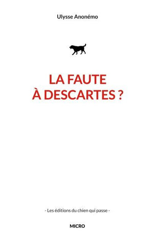 La faute à descartes ?
