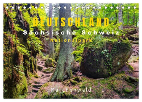 DEUTSCHLAND, Sächsische Schweiz Nationalpark, Märchenwald (Tischkalender 2026 DIN A5 quer), CALVENDO Monatskalender