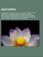 Bakterien