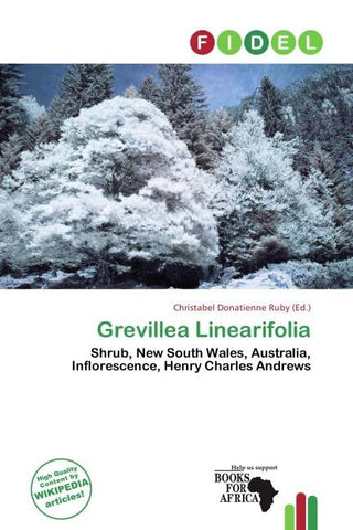 Grevillea Linearifolia