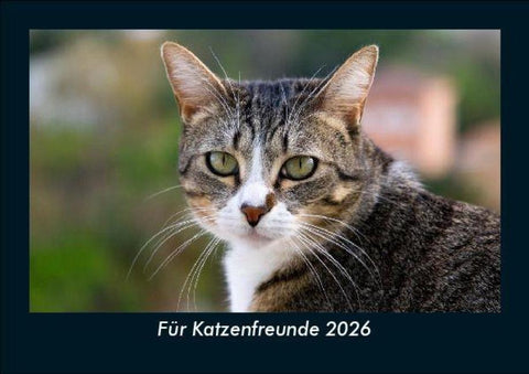 Für Katzenfreunde 2026 Fotokalender DIN A5