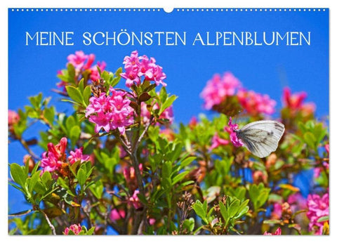 Meine schönsten Alpenblumen (Wandkalender 2026 DIN A2 quer), CALVENDO Monatskalender