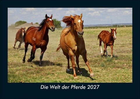 Die Welt der Pferde 2027 Fotokalender DIN A5