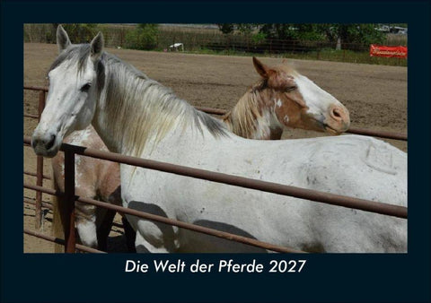 Die Welt der Pferde 2027 Fotokalender DIN A5