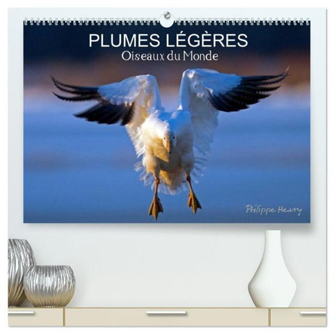 PLUMES LÉGÈRES. Oiseaux du Monde (Calendrier mural 2026 DIN A2 vertical) calendrier de bureau