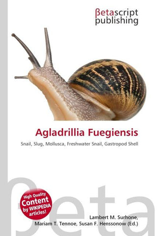 Agladrillia Fuegiensis