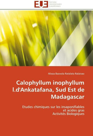 Calophyllum inophyllum l.d'Ankatafana, Sud Est de Madagascar