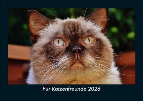 Für Katzenfreunde 2026 Fotokalender DIN A5