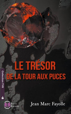 Le tresor de la tour aux puces