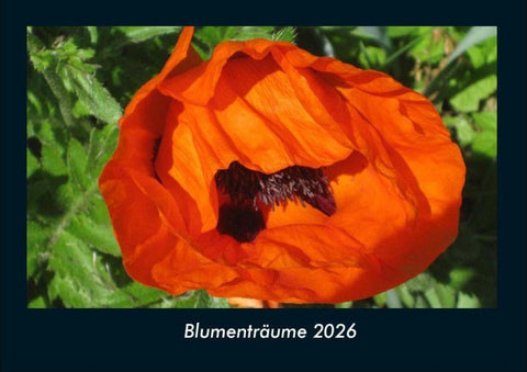 Blumenträume 2026 Fotokalender DIN A4