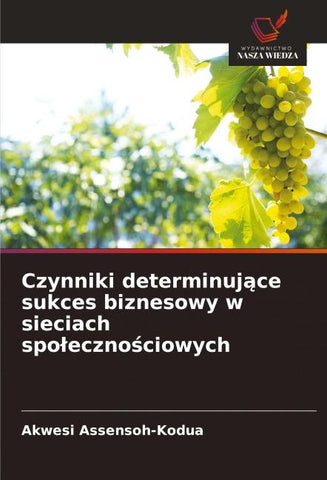 Czynniki determinuj¿ce sukces biznesowy w sieciach spo¿eczno¿ciowych