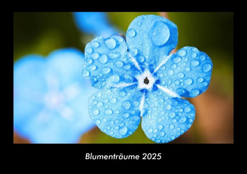 Blumenträume 2025 Fotokalender DIN A3