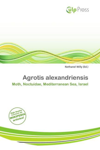Agrotis alexandriensis