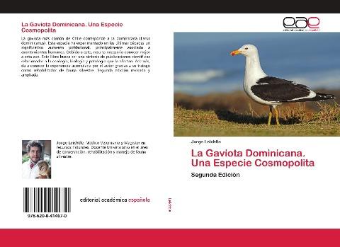 La Gaviota Dominicana. Una Especie Cosmopolita