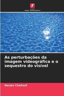 As perturbações da imagem videográfica e o sequestro do visível