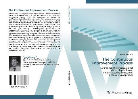 The Continuous Improvement Process