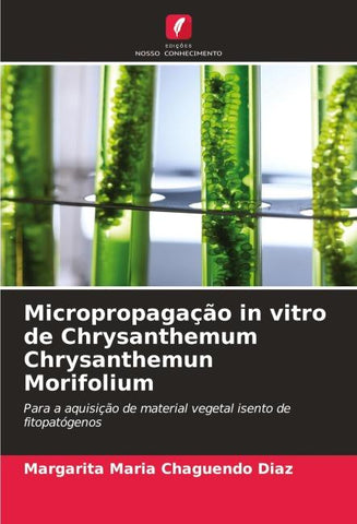 Micropropagação in vitro de Chrysanthemum Chrysanthemun Morifolium