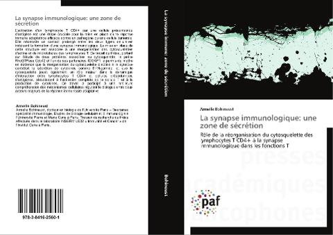 La synapse immunologique: une zone de sécrétion