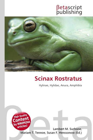 Scinax Rostratus