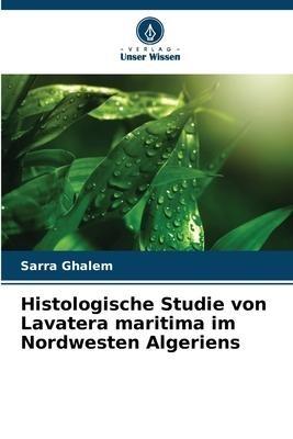 Histologische Studie von Lavatera maritima im Nordwesten Algeriens