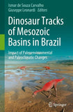Dinosaur Tracks of Mesozoic Basins in Brazil