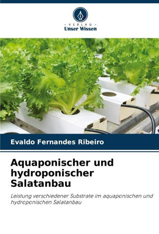 Aquaponischer und hydroponischer Salatanbau