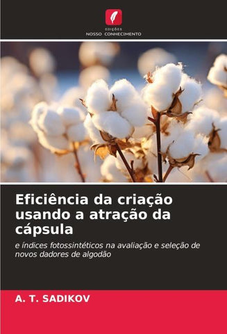 Eficiência da criação usando a atração da cápsula