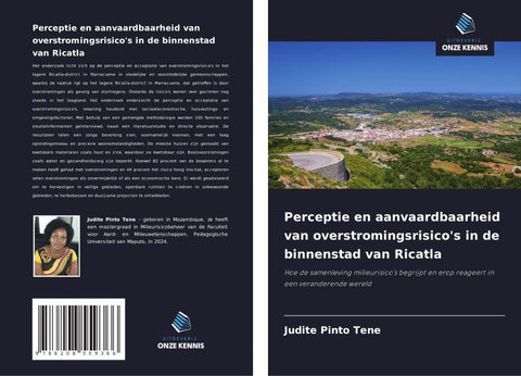 Perceptie en aanvaardbaarheid van overstromingsrisico's in de binnenstad van Ricatla