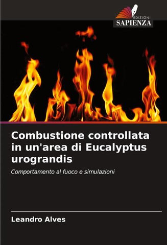 Combustione controllata in un'area di Eucalyptus urograndis