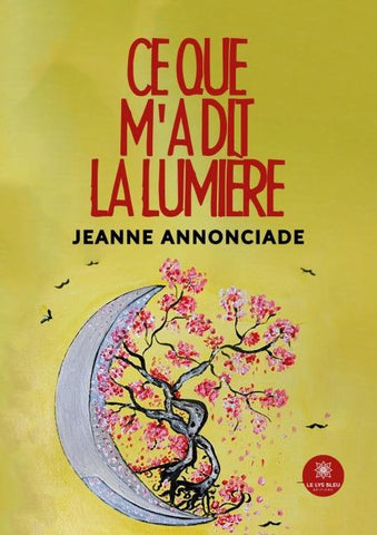 Ce que m'a dit la lumière