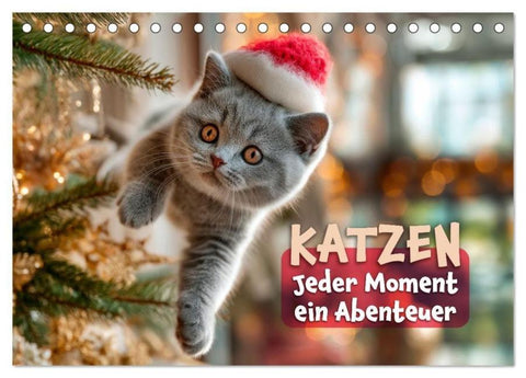 Katzen - Jeder Moment ein Abenteuer (Tischkalender 2027 DIN A5 quer), CALVENDO Monatskalender