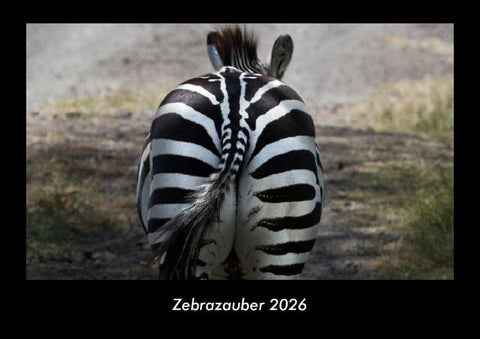 Zebrazauber 2026 Fotokalender DIN A3