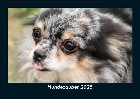 Hundezauber 2025 Fotokalender DIN A5