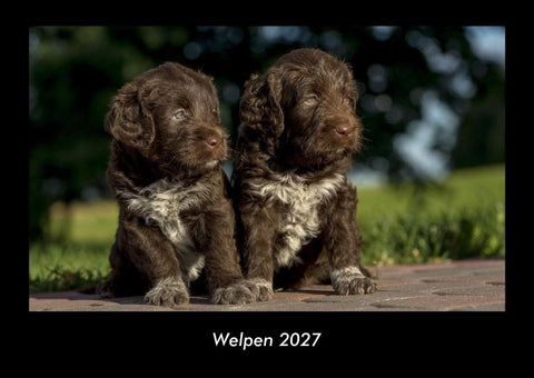Welpen 2027 Fotokalender DIN A3