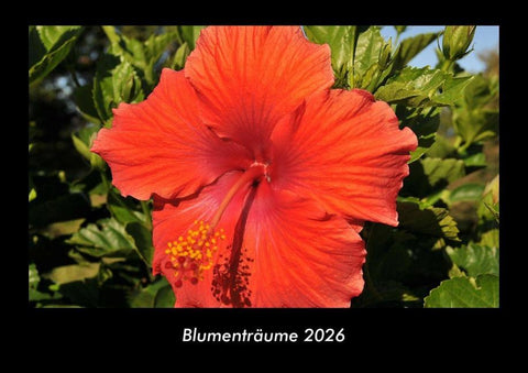 Blumenträume 2026 Fotokalender DIN A3