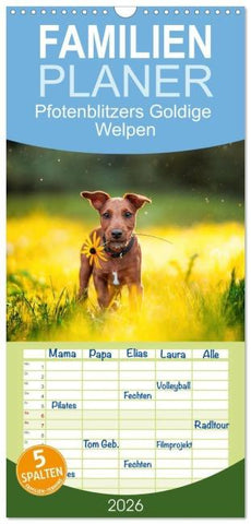 Familienplaner 2026 - Goldige Welpen mit 5 Spalten (Wandkalender, 21 x 45 cm) CALVENDO
