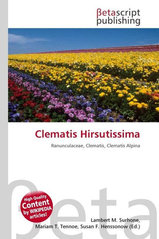 Clematis Hirsutissima