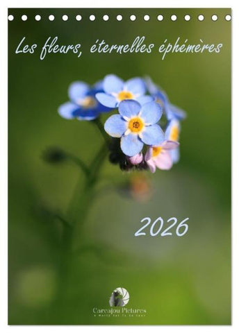 Les fleurs, éternelles éphemères (Calendrier de bureau 2026 DIN A5 horizontal), CALVENDO calendrier mensuel