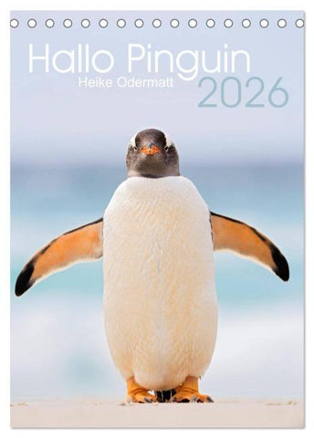 Hallo Pinguin (Tischkalender 2026 DIN A5 hoch), CALVENDO Monatskalender