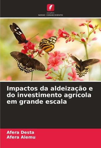 Impactos da aldeização e do investimento agrícola em grande escala