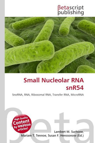 Small Nucleolar RNA snR54