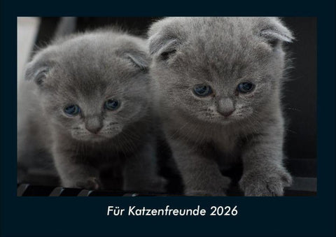 Für Katzenfreunde 2026 Fotokalender DIN A4