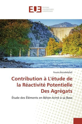Contribution à L'étude de la Réactivité Potentielle Des Agrégats