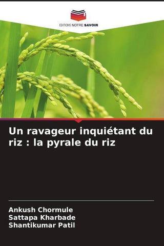 Un ravageur inquiétant du riz : la pyrale du riz