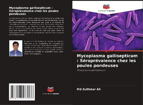 Mycoplasma gallisepticum : Séroprévalence chez les poules pondeuses