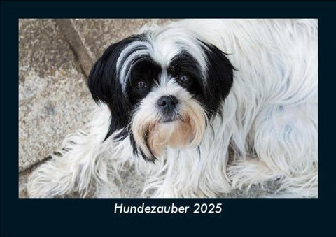 Hundezauber 2025 Fotokalender DIN A5