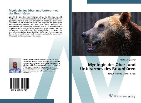 Myologie des Ober- und Unterarmes des Braunbären
