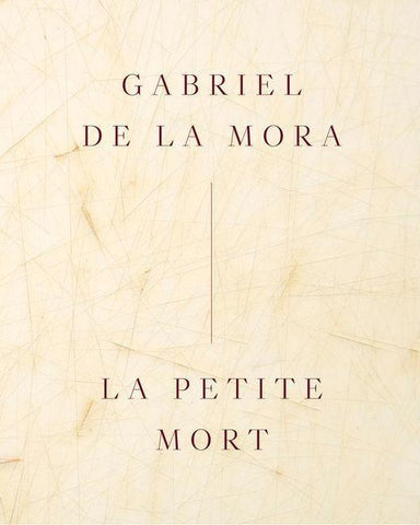 Gabriel de la Mora