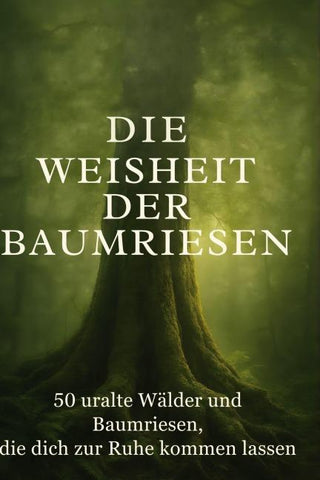 Die Weisheit der Baumriesen