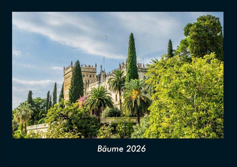 Bäume 2026 Fotokalender DIN A4
